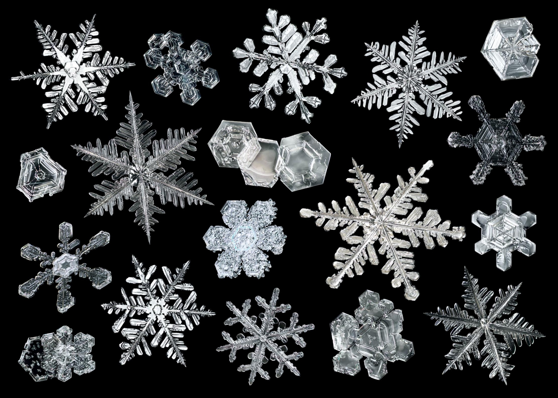 Record-breaking snowflake that was the size of a large pizza 4