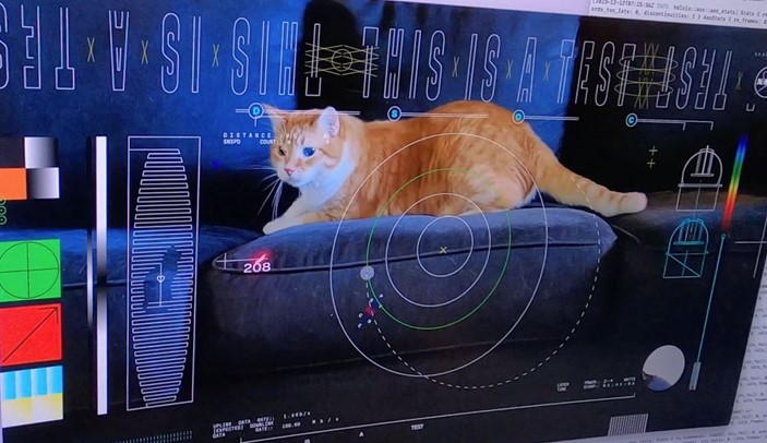Earth receives unbelievable cat video beamed from space with a distance of 19 million miles away 1