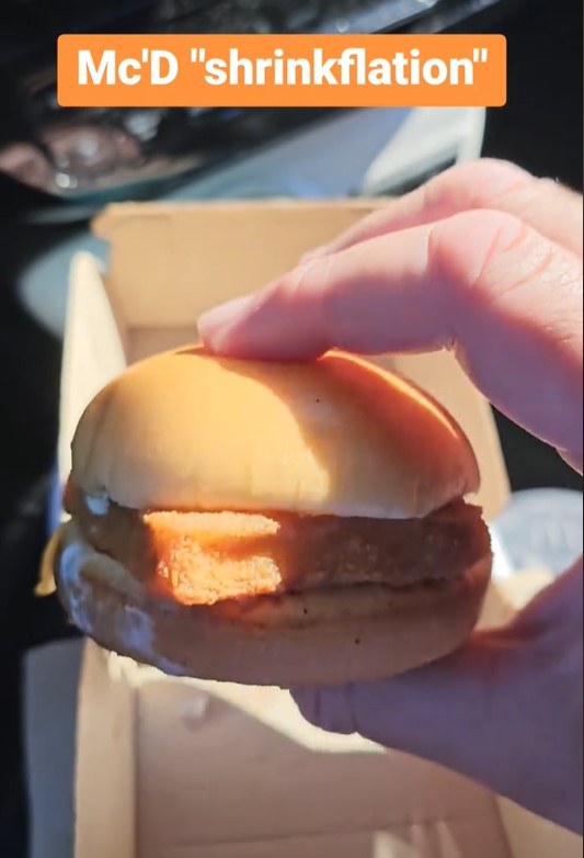 McDonald's faces backlash as Filet-O-Fish Burgers allegedly significantly decrease in size by '20%' 1