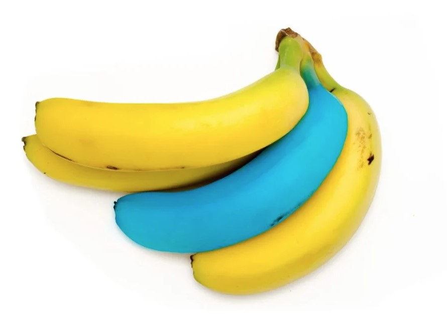 Blue Java Bananas: A tropical treat with vanilla ice cream flavor 4