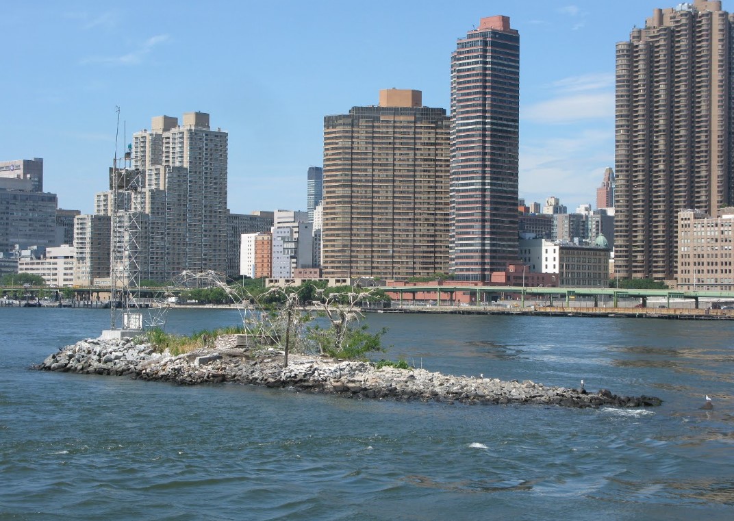Prohibited island connected to New York City by a tunnel has now become a migratory bird sanctuary 2