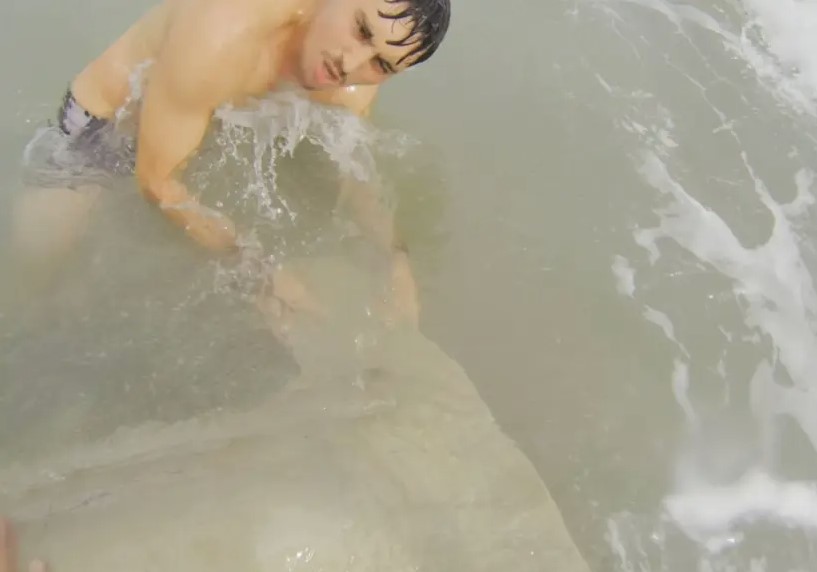 Florida's adventurous fisherman walks 12-foot-long hammerhead shark back to sea 3
