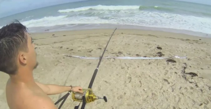 Florida's adventurous fisherman walks 12-foot-long hammerhead shark back to sea 4