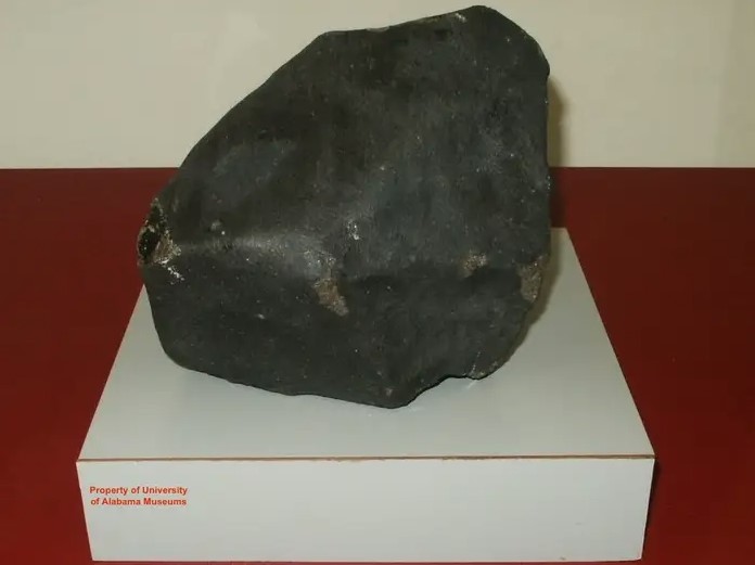 The Sylacauga meteorite was estimated at 4.5 billion years old and weighed 8.5 pounds. Image Credit: University of Alabama Museums, Tuscaloosa, Alabama