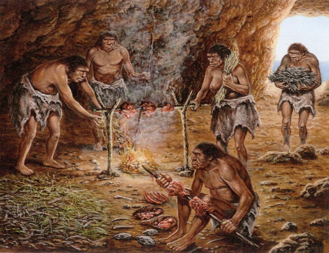Experts reveal surprising reason led to the near extinction of humans 800,000 years ago 1