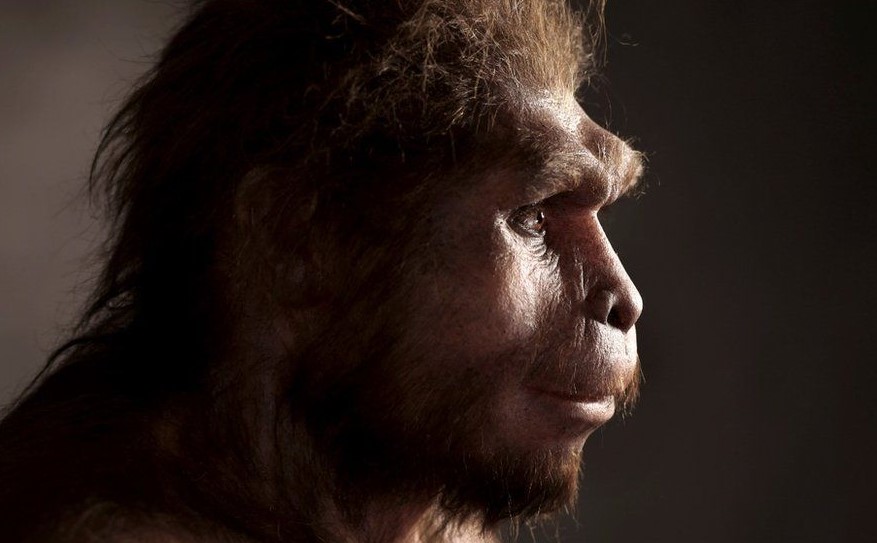 Experts reveal surprising reason led to the near extinction of humans 800,000 years ago 2