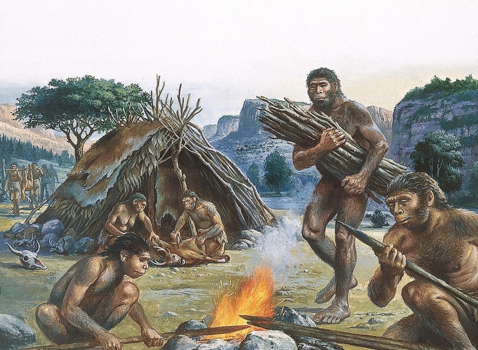 Experts reveal surprising reason led to the near extinction of humans 800,000 years ago 4