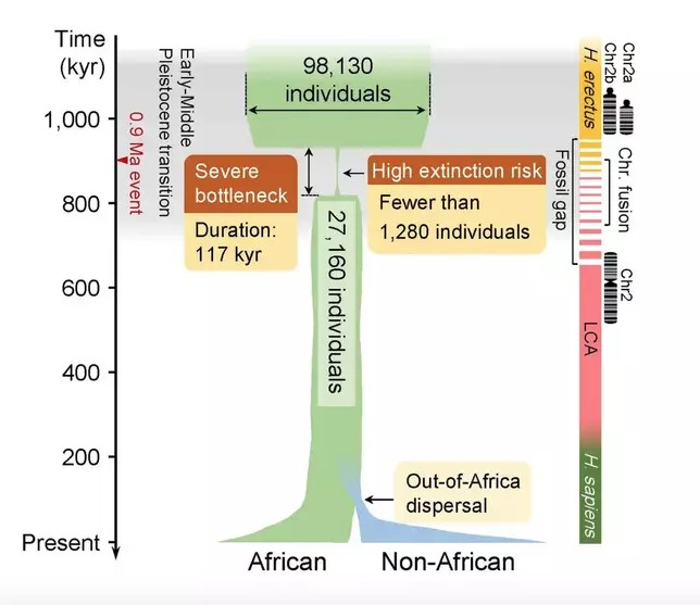 Experts reveal surprising reason led to the near extinction of humans 800,000 years ago 3