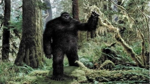 Camera captured Bigfoot peering around tree sparks intense debate over its authenticity 1