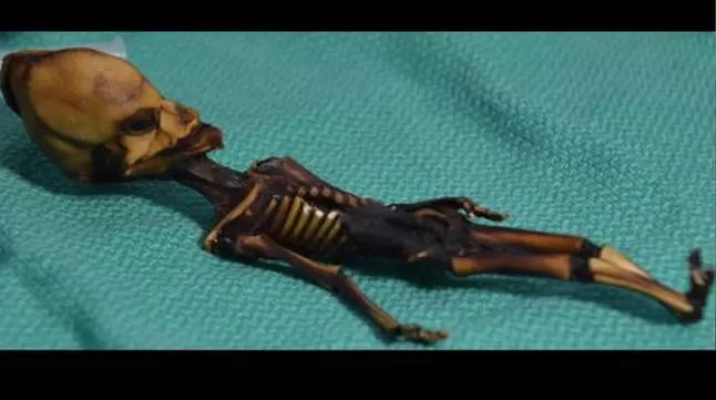 Experts solved mystery behind Ata 'alien’ skeleton after more than 20 years 3
