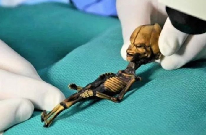Experts solved mystery behind Ata 'alien’ skeleton after more than 20 years 5