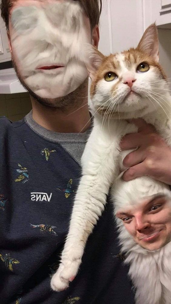 13+ face swaps that will make you lose sleep 11