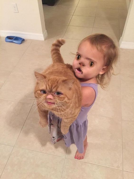 13+ face swaps that will make you lose sleep 7
