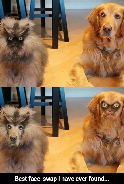 13+ face swaps that will make you lose sleep 6