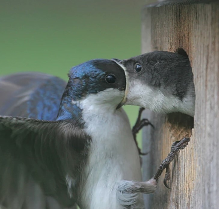 When you kiss your girl for the first time but don’t know how to