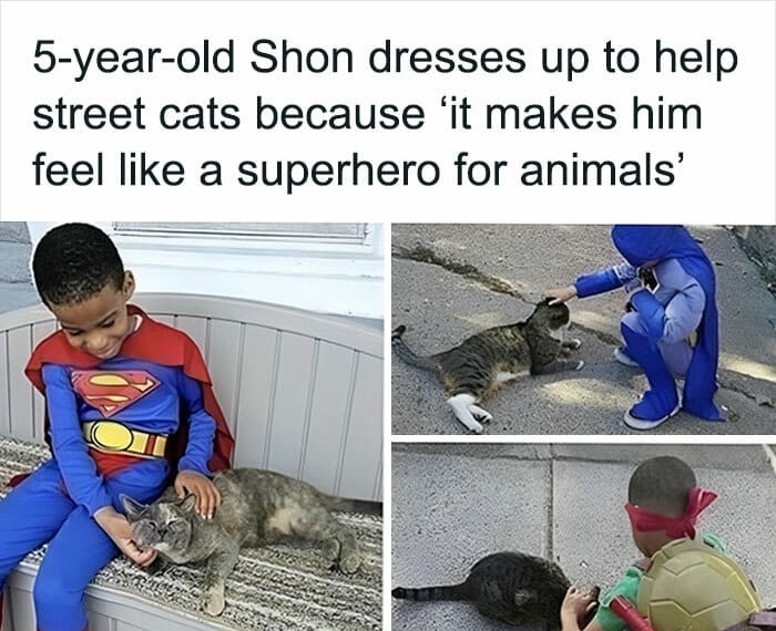 12+ wholesome animal images went viral that can appease your soul 4