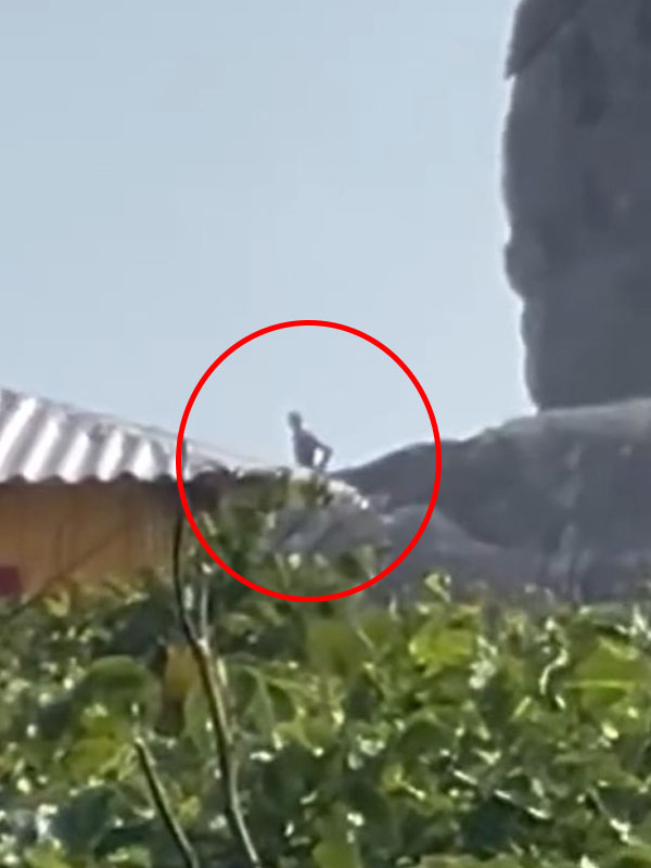Hiker stunned after spotting 10-foot-tall 'strange creatures' on a Hilltop in Brazil 3