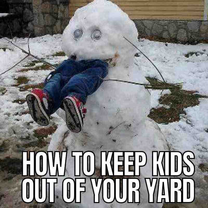 13+ funny winter memes will make you shake with laughter 6