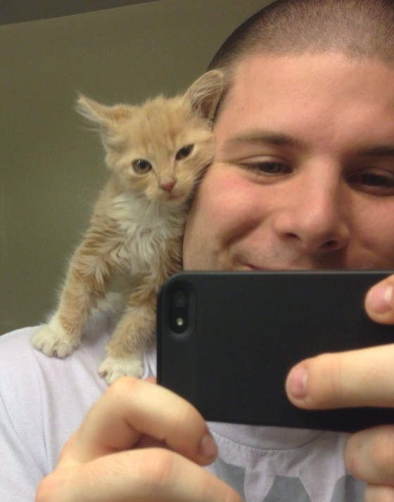 15+ moments of animals cuddling humans will melt your heart 9