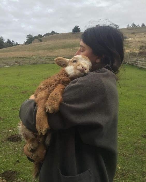 15+ moments of animals cuddling humans will melt your heart 7