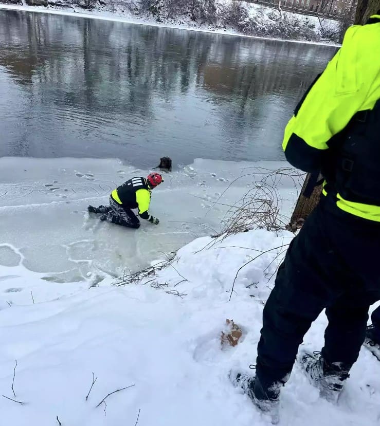 Firefighters rescue dog who gets stuck in middle of icy river after chasing down geese 1