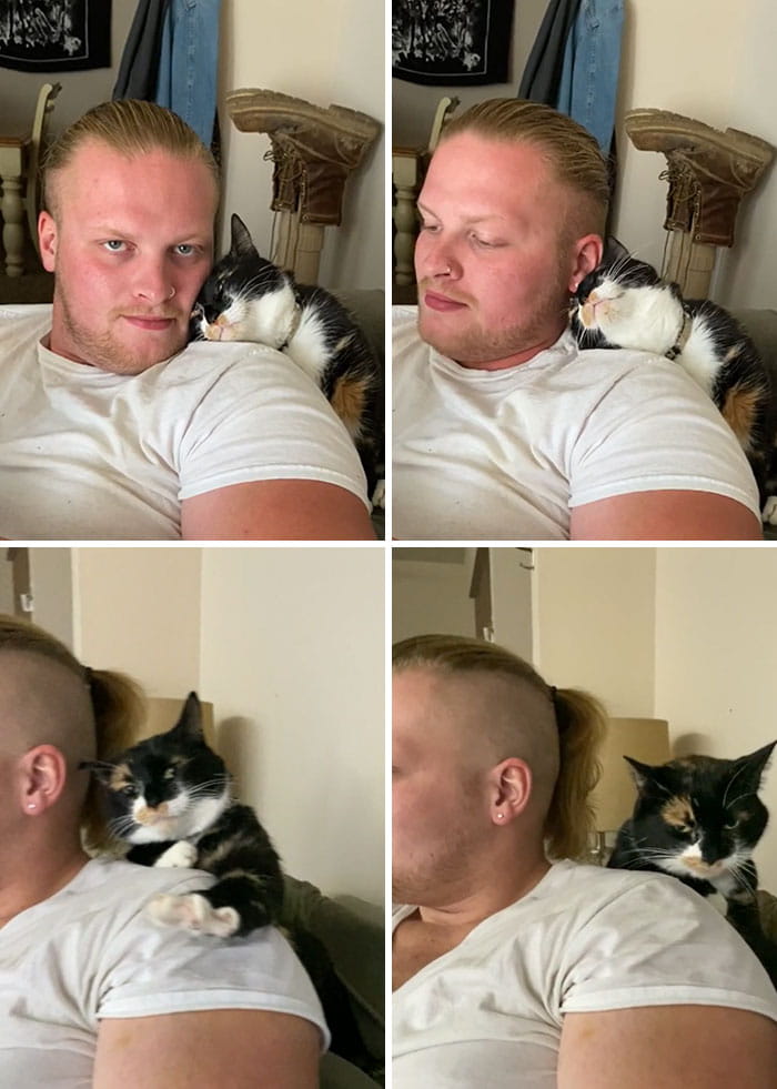 13+ times pets steal your partner without shamelessness will make you nod your head in agreement 6