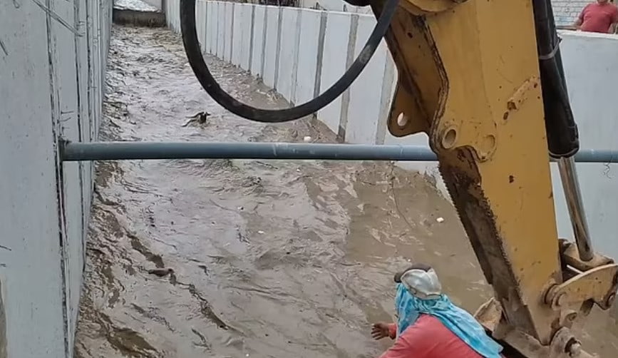 Dog trapped in canal was rescued by construction workers using an excavator 2