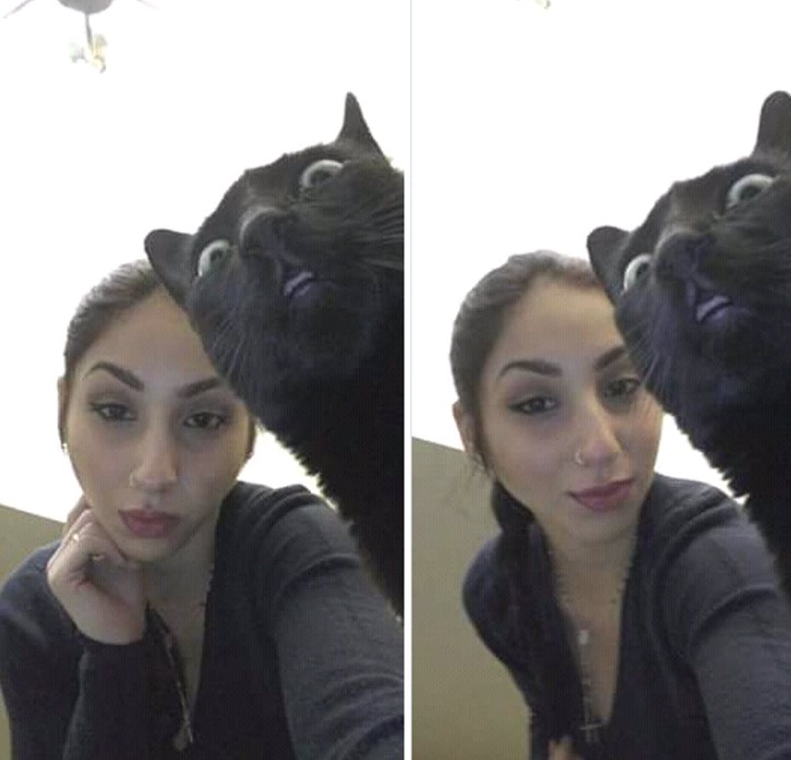 14+ pets who don't know how silly they are through the human camera 11