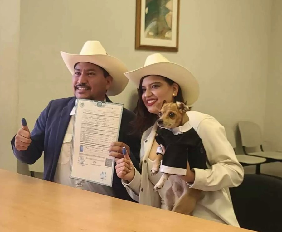 Little dog becomes witness to stamp parents' marriage certificate 5