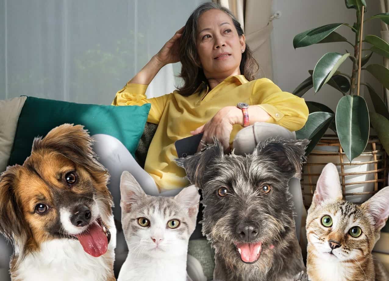 Elderly woman wipes children from will, leaves $2.8 million fortune to pets 4