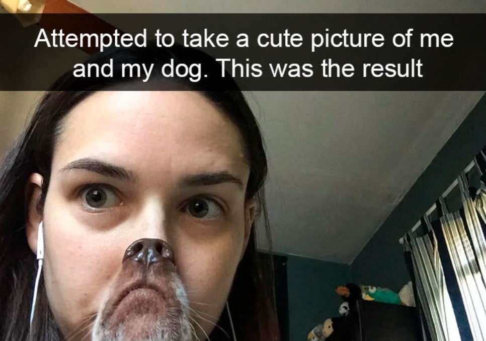 15+ hilarious dog Snapchats that will brighten your day 6