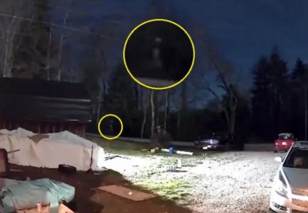 Something was caught on camera wandering from the graveyard across from Rachel's house.