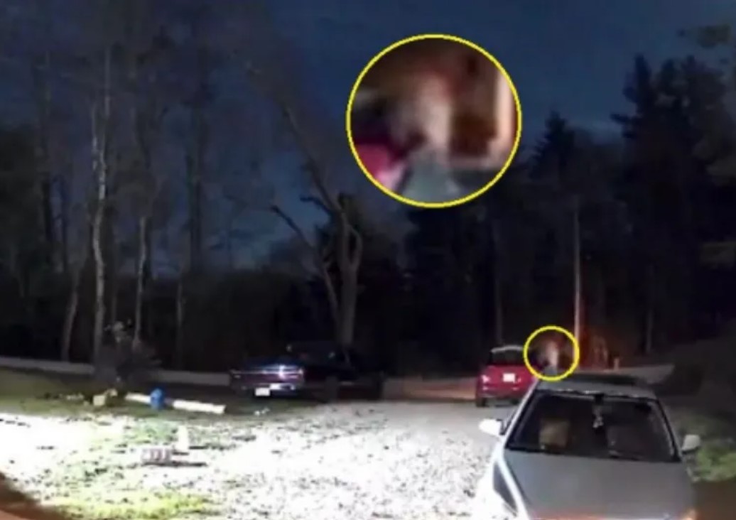 Woman stunned after spotting 'ghost' wandering out of graveyard opposite her house 2
