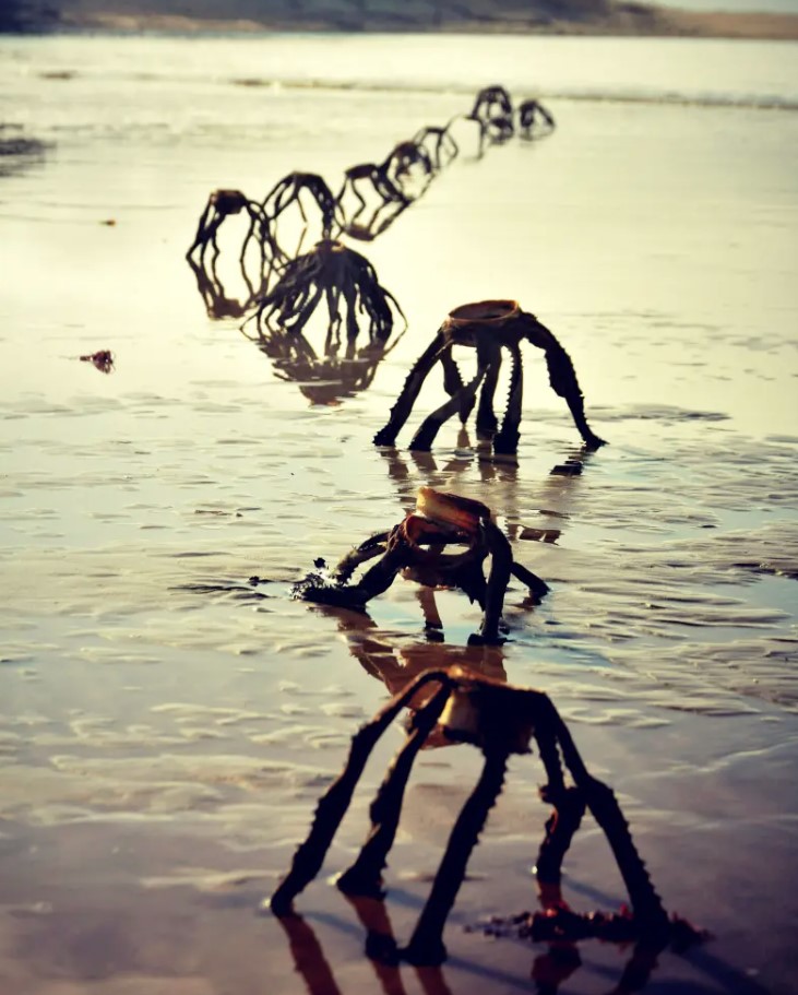 'Aliens' spotted on the beach resemble a sci-fi movie generating panic 3