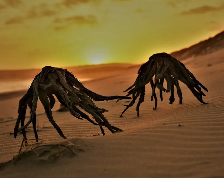 'Aliens' spotted on the beach resemble a sci-fi movie generating panic 1