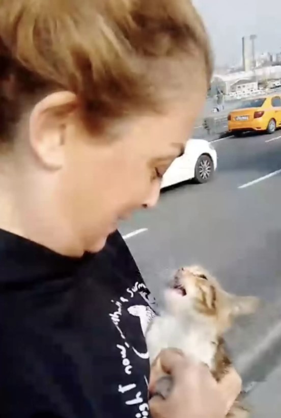 Woman rushes into middle of road to save kitten stuck on highway 3