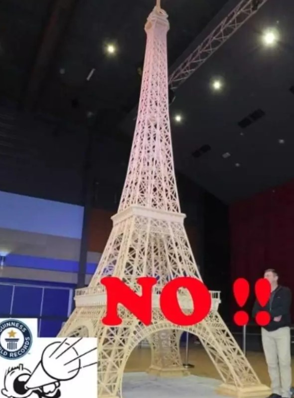 Man who built 23 ft Eiffel Tower with 700,000 matches rejected by Guinness World Records 1