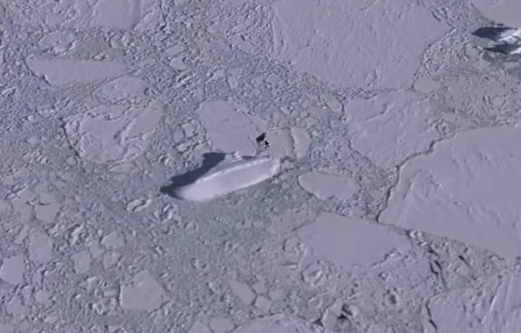 Google Earth users suddenly spotted 400ft ice ship in iceberg 1