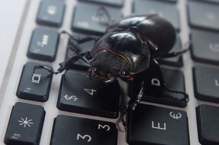 People are just learning why computer error is called a 'bug' 1