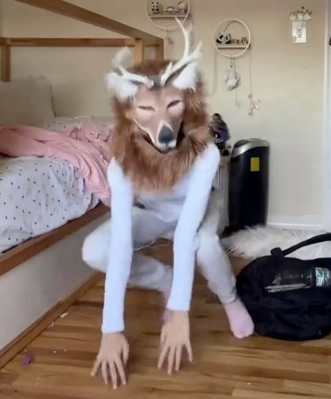 Group of teenagers who follow 'Therian' lifestyle identify themselves as animals on TikTok 1