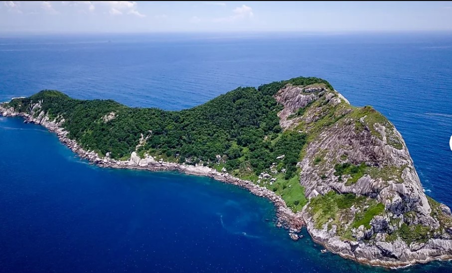 Snake Island - world's most dangerous place with 4,000 poisonous snakes and human entry prohibited 3
