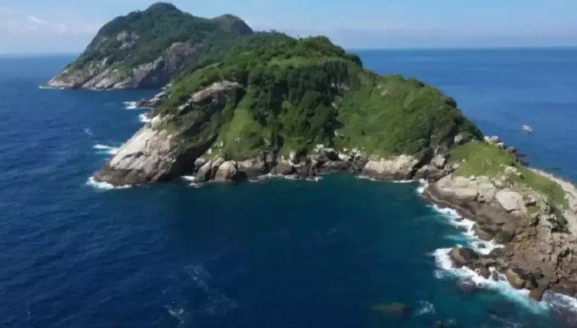Snake Island - world's most dangerous place with 4,000 poisonous snakes and human entry prohibited 1