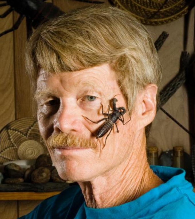Scientist intentionally being stung by nearly 80 different insects to find out which hurt most 2