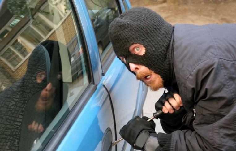 A car theft occurred and the mosquito served as important evidence. Image Credit: Getty