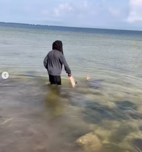Man left viewers stunned after picking up live shark with his bare hands 5