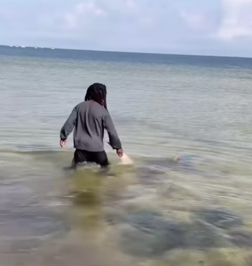 Man left viewers stunned after picking up live shark with his bare hands 1