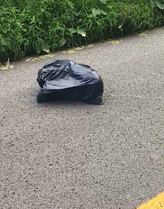 Woman rescued 'mysterious' creature trapped in garbage bag on her way to work 2
