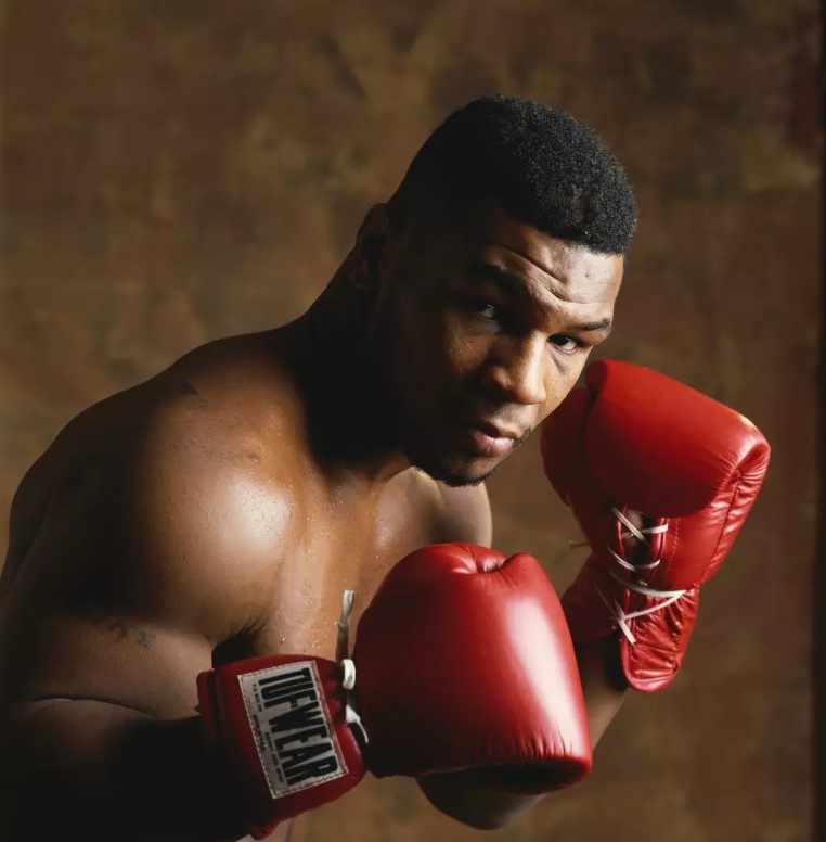 Former heavyweight boxing champion offered $10,000 to be allowed to fight silverback gorilla 5