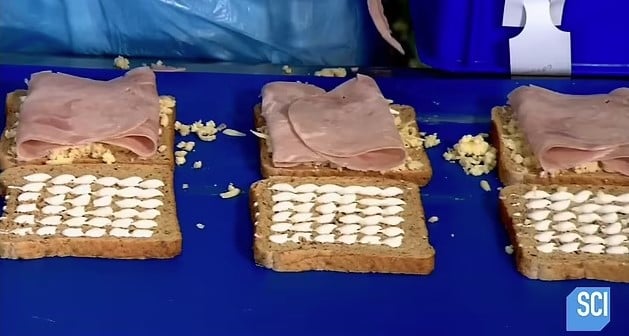 People were baffled after realizing how pre-packaged sandwiches are really made 4