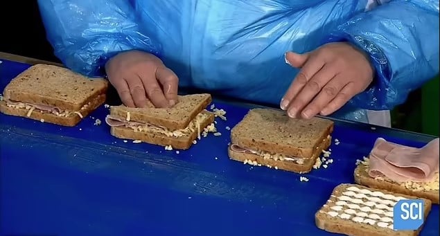 People were baffled after realizing how pre-packaged sandwiches are really made 3